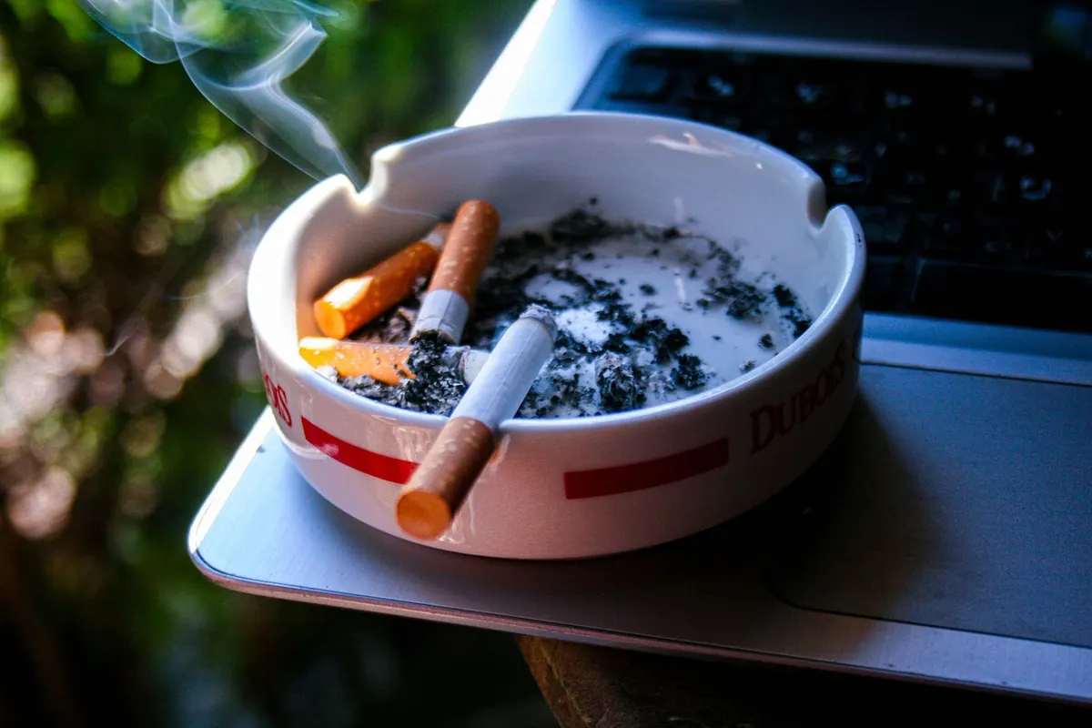 English vs. Aromatic Pipe Tobacco: A Beginner's Guide to Flavor and Room Note